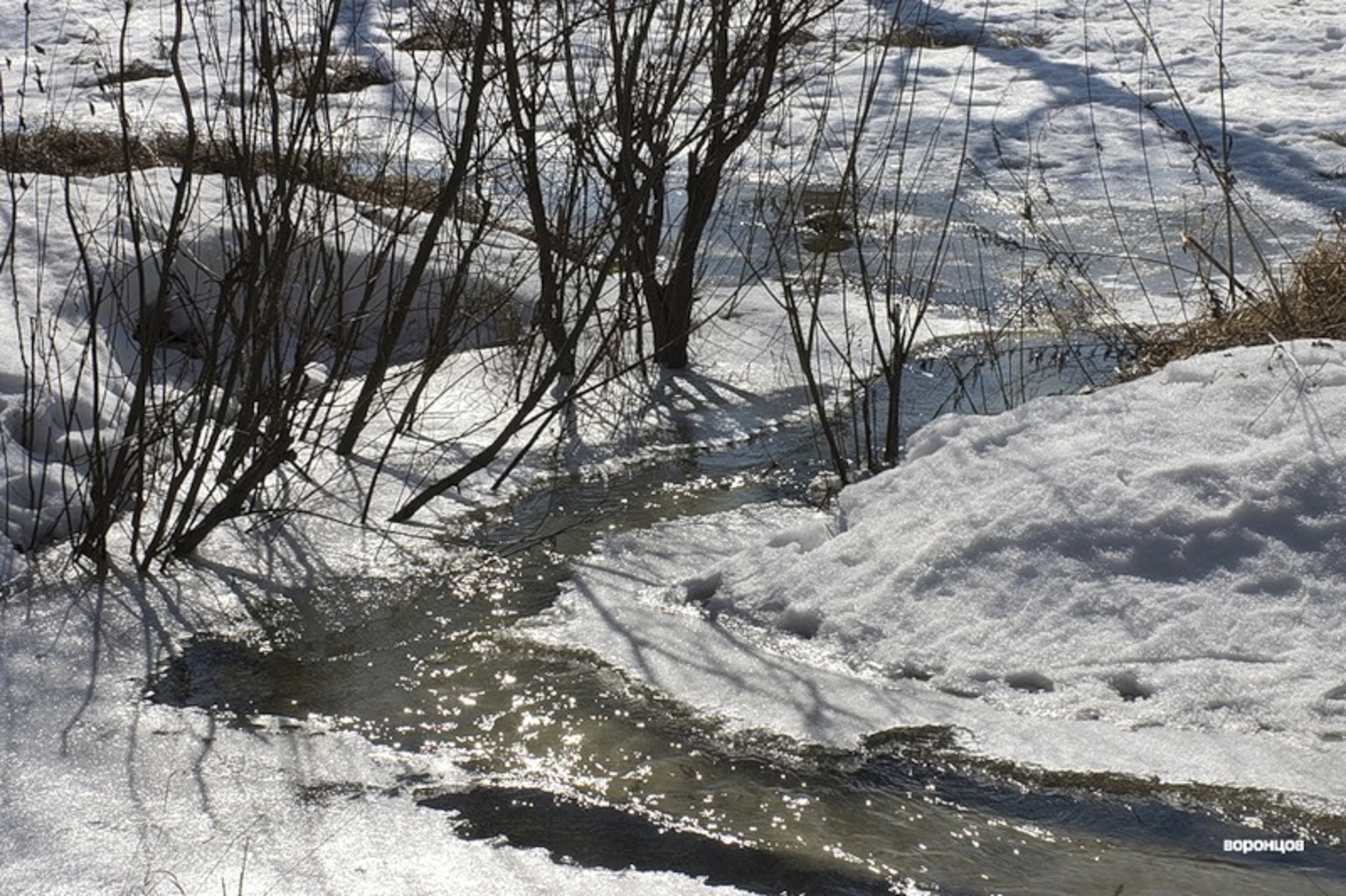 Снег сходит с пригорков веселыми ручейками. Бегут ручьи Журчат. Весенние ручьи. Весенний Ручеек. Бегут ручьи весной.