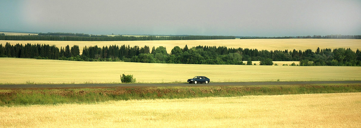 Таганрог русское поле