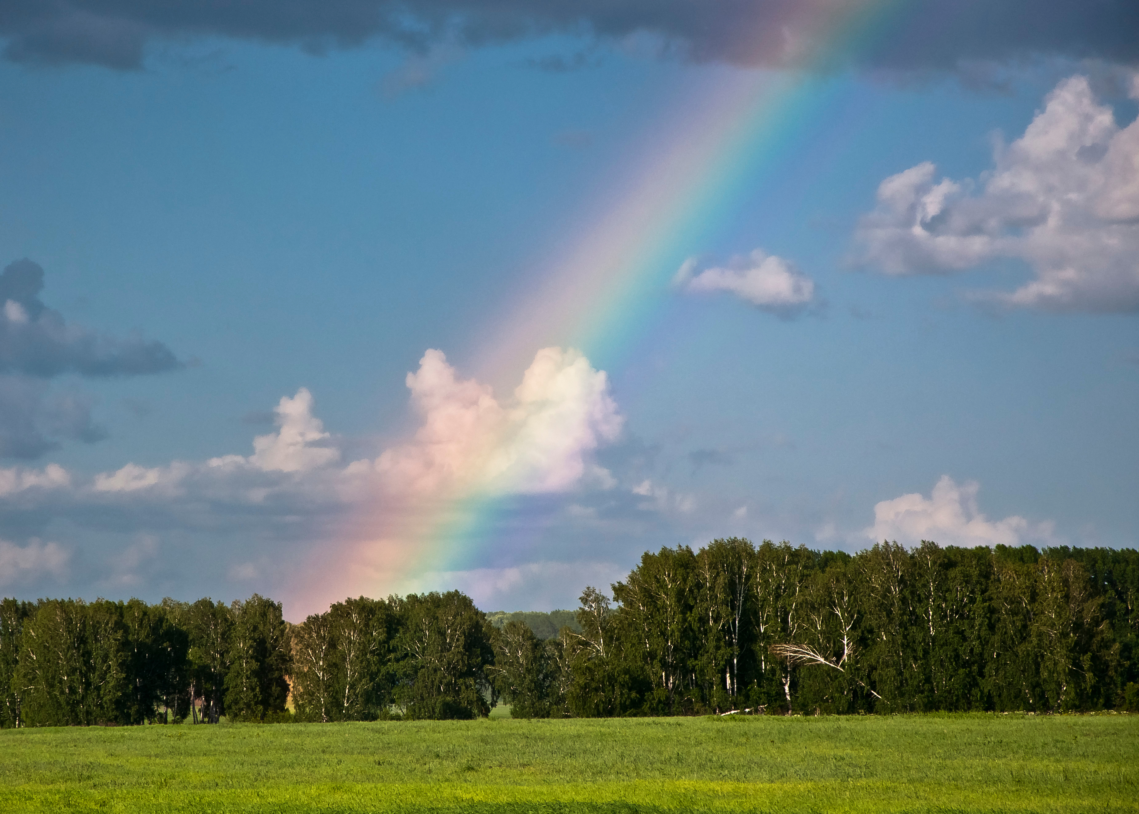 Фото радуга боровичи