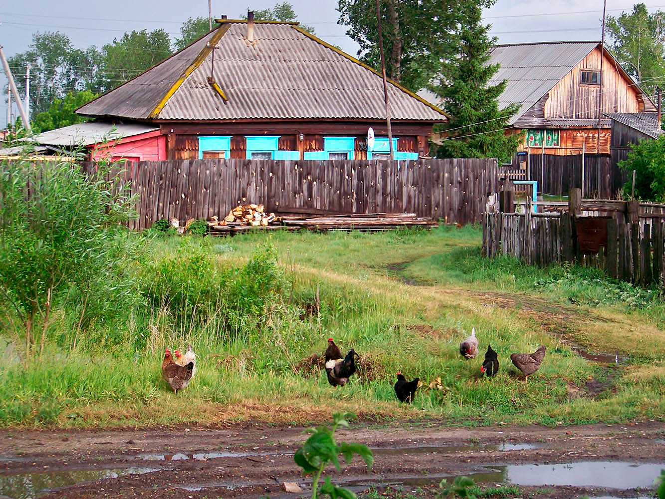 Мое село фото