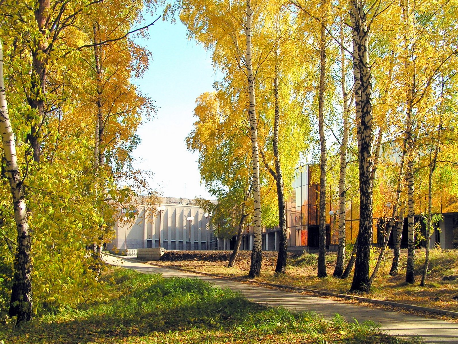 Картинки академгородок новосибирск