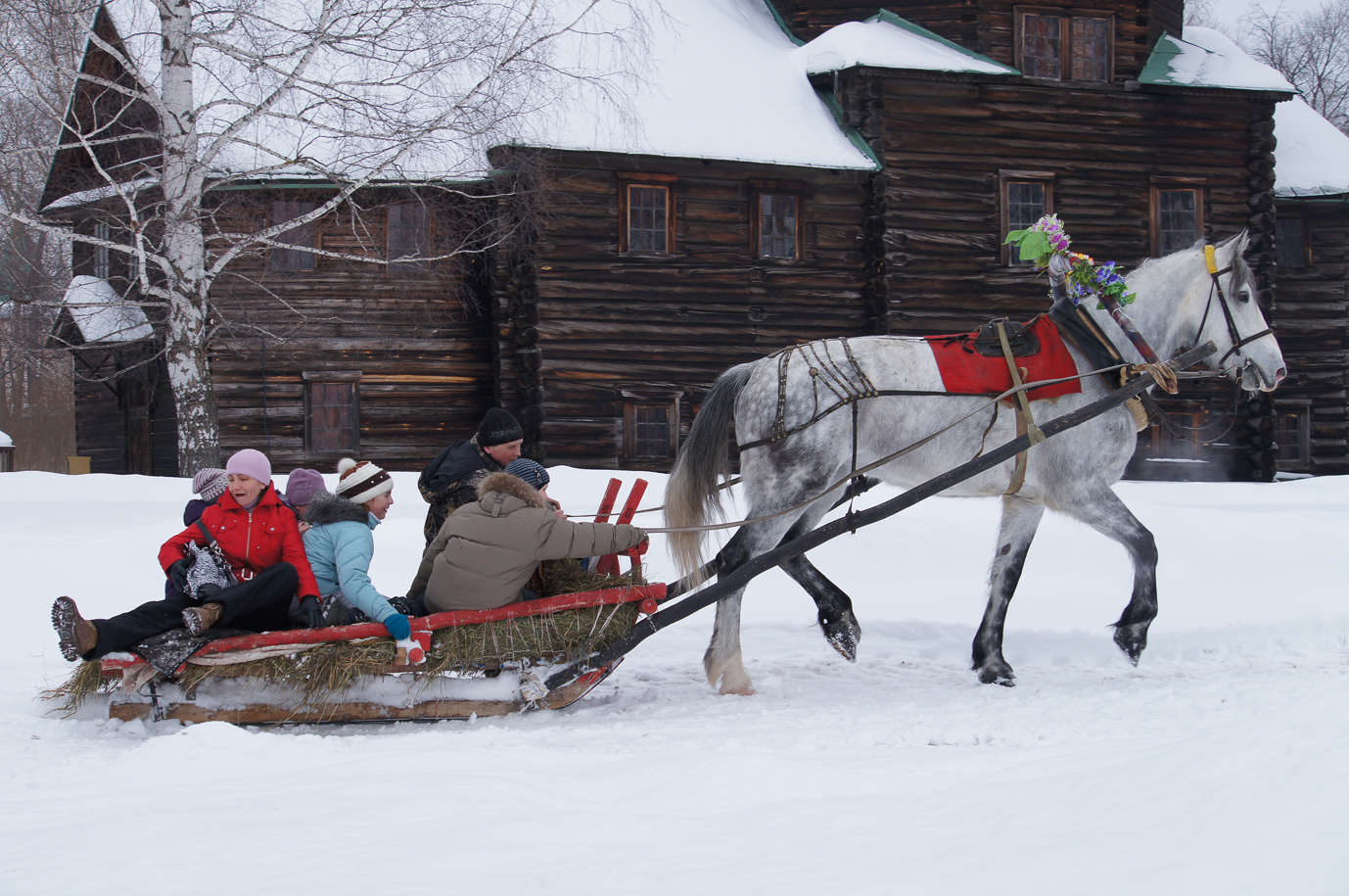 Сани розвальни фото