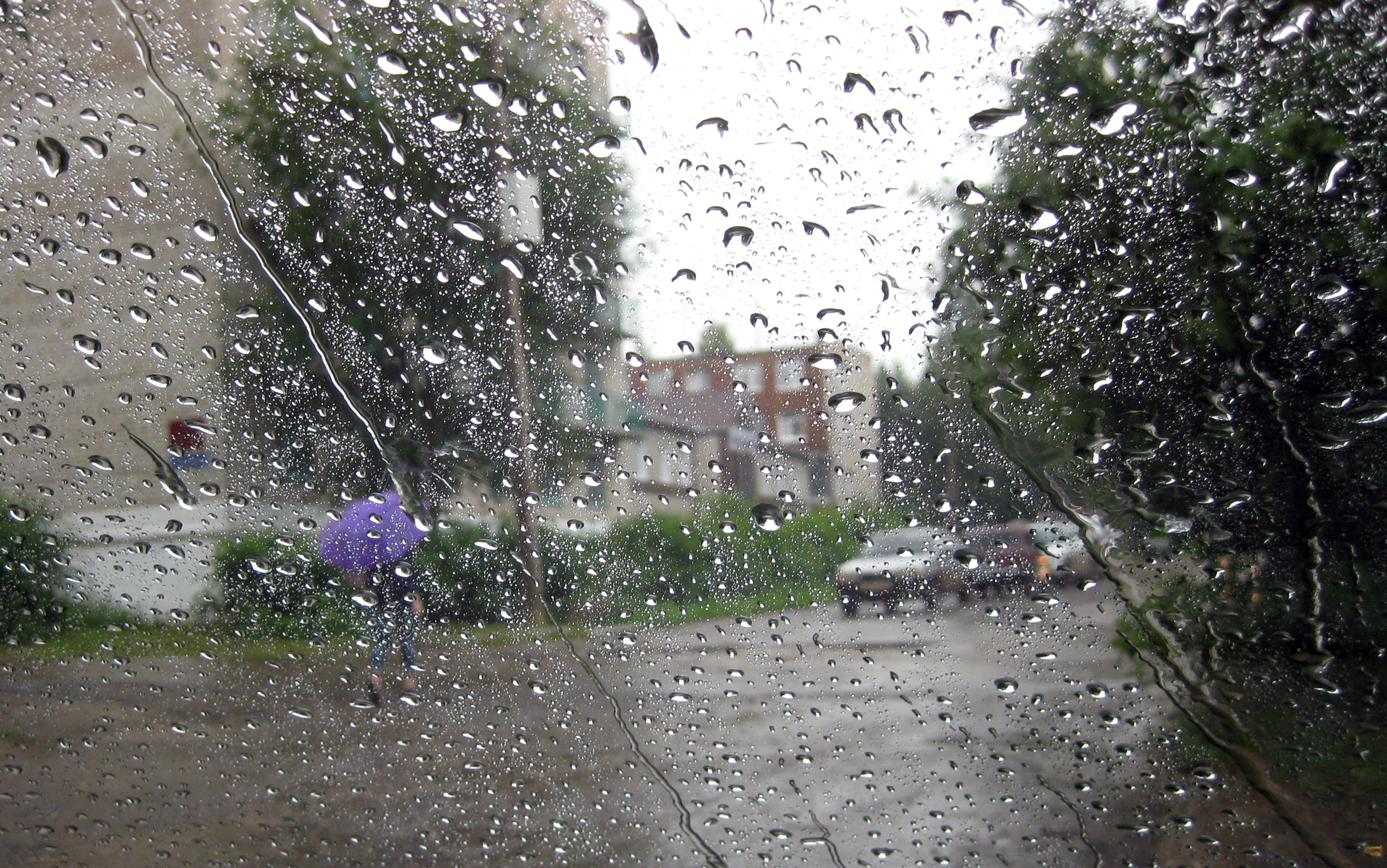Дождь 5 мая