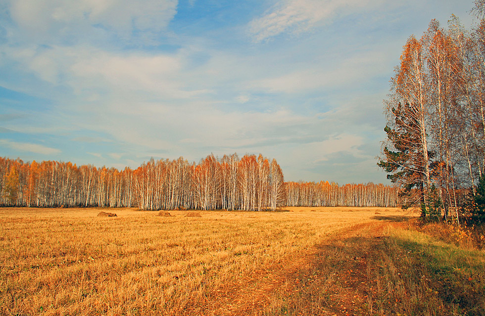 Фото к стихотворению