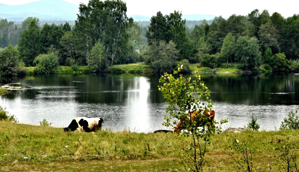 Деревенские мотивы фото