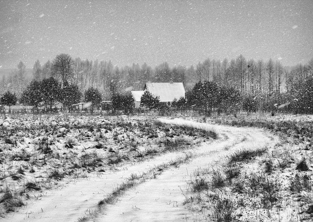 Русская деревня черно белое фото