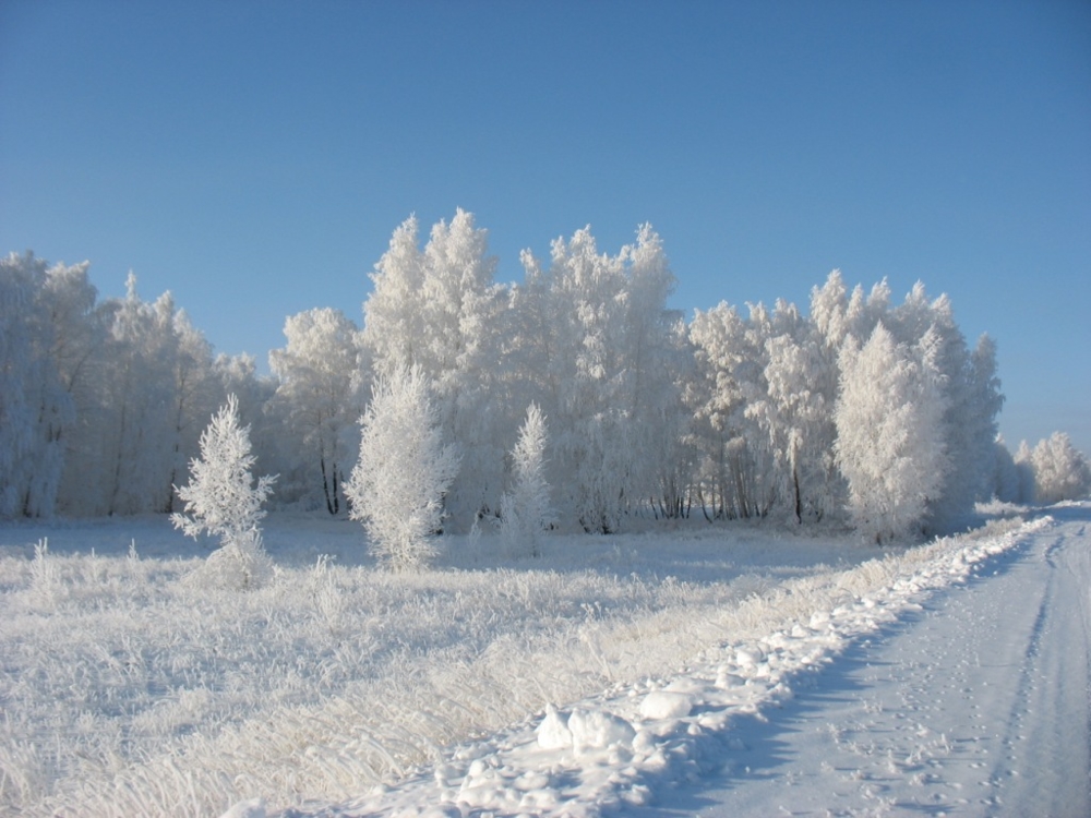 Фото зима день