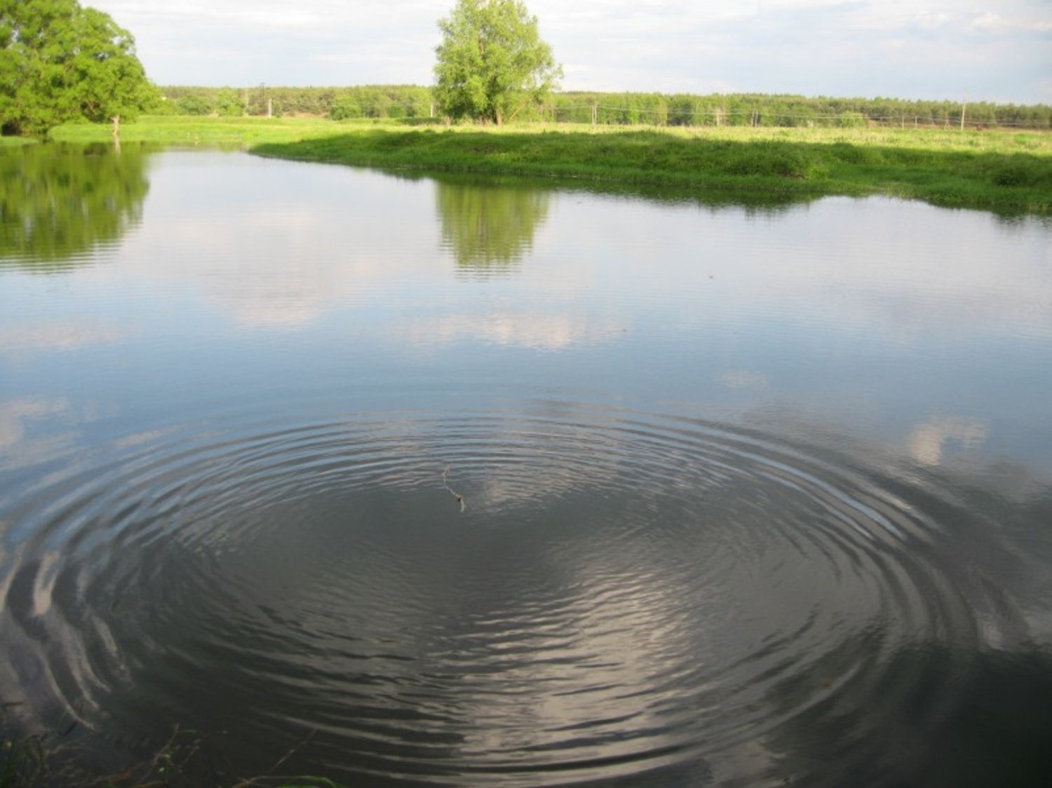 Круги на воде фото