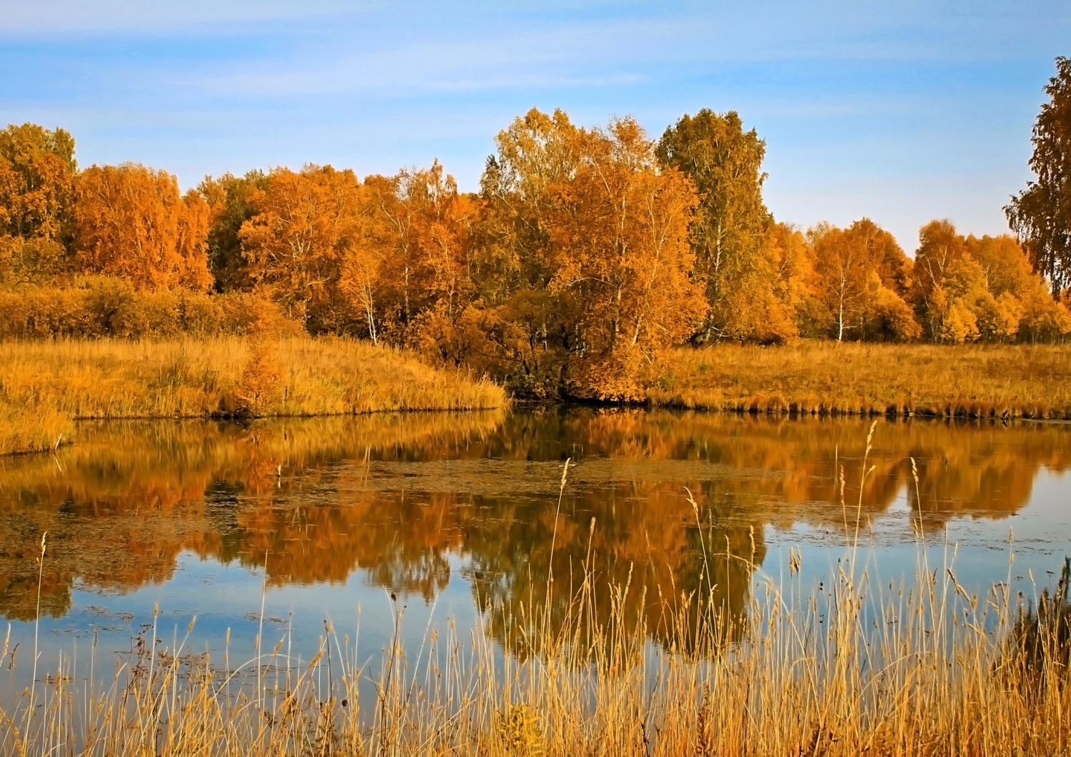 Скоро осень