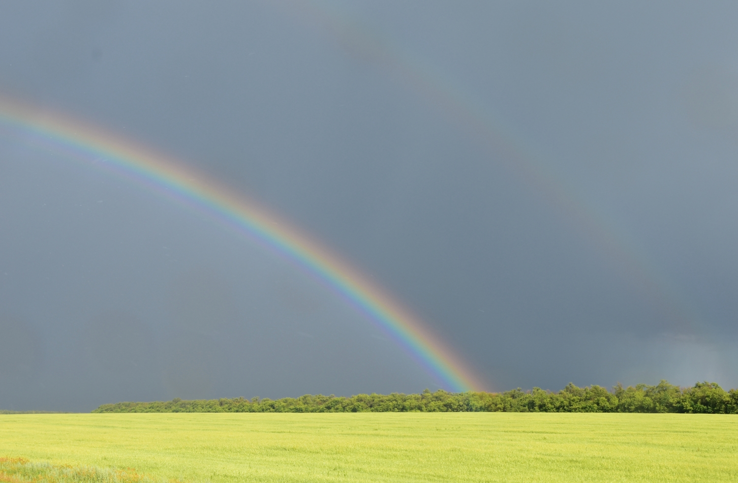 White rainbow. Радуга фотоконкурс. Белая Радуга. Красно белая Радуга. Радуга после дождя стильная картинка.